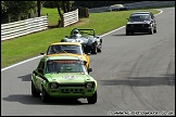 MSVR_GP_Weekend_Brands_Hatch_210811_AE_136