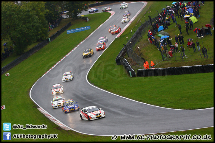 BTCC_and_Support_Brands_Hatch_211012_AE_059.jpg