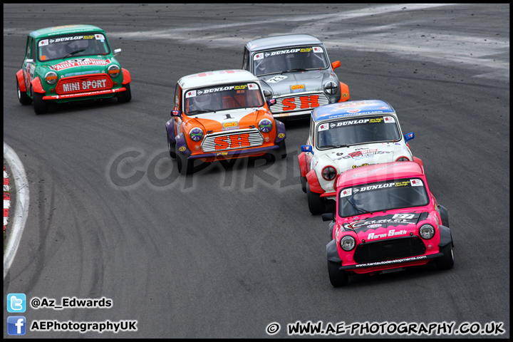 Mini_Festival_Brands_Hatch_230613_AE_052.jpg