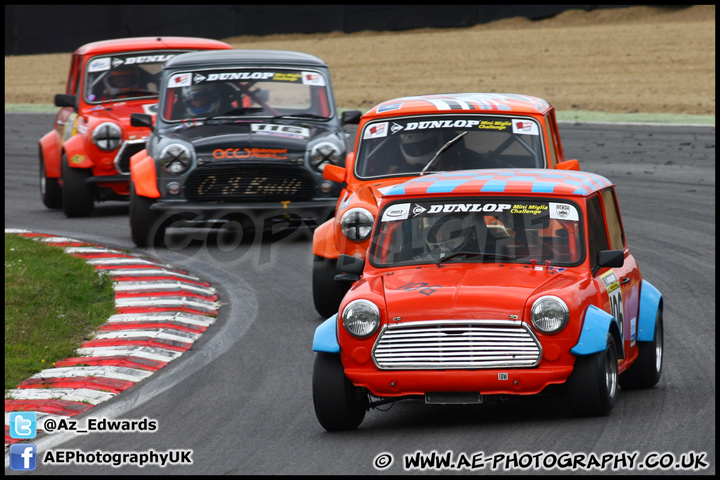 Mini_Festival_Brands_Hatch_230613_AE_058.jpg