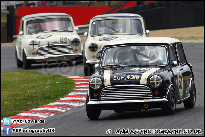 Mini_Festival_Brands_Hatch_230613_AE_066.jpg