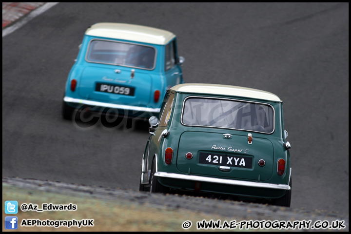 Mini_Festival_Brands_Hatch_230613_AE_078.jpg