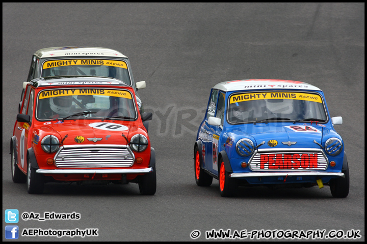 Mini_Festival_Brands_Hatch_230613_AE_104.jpg