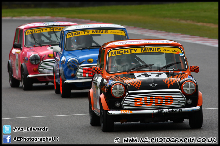 Mini_Festival_Brands_Hatch_230613_AE_112.jpg