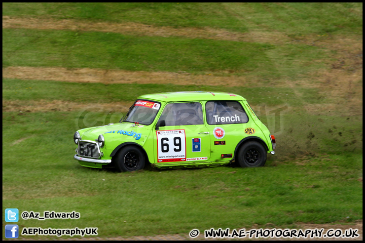 Mini_Festival_Brands_Hatch_230613_AE_120.jpg