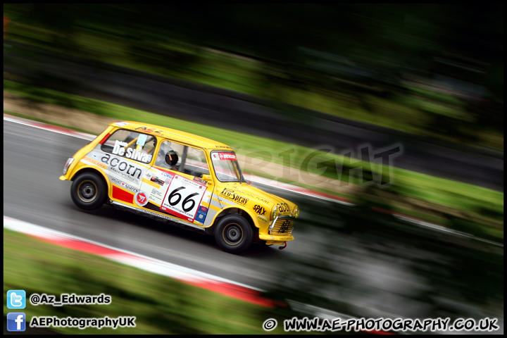 Mini_Festival_Brands_Hatch_230613_AE_131.jpg