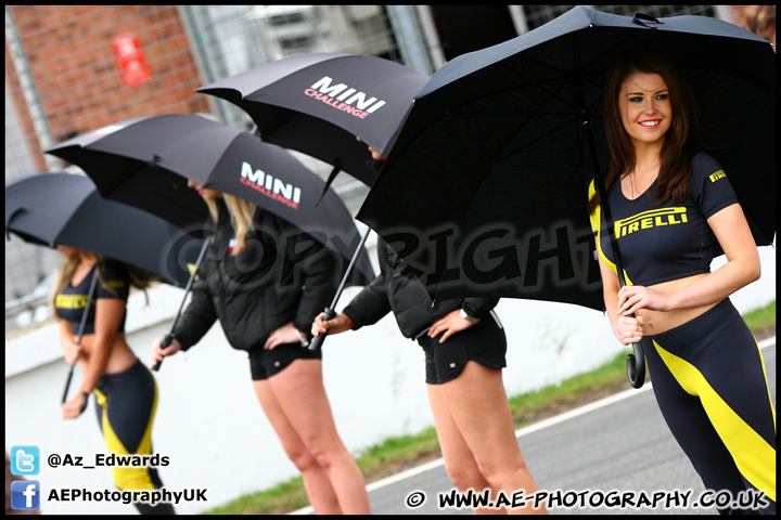 Mini_Festival_Brands_Hatch_230613_AE_137.jpg