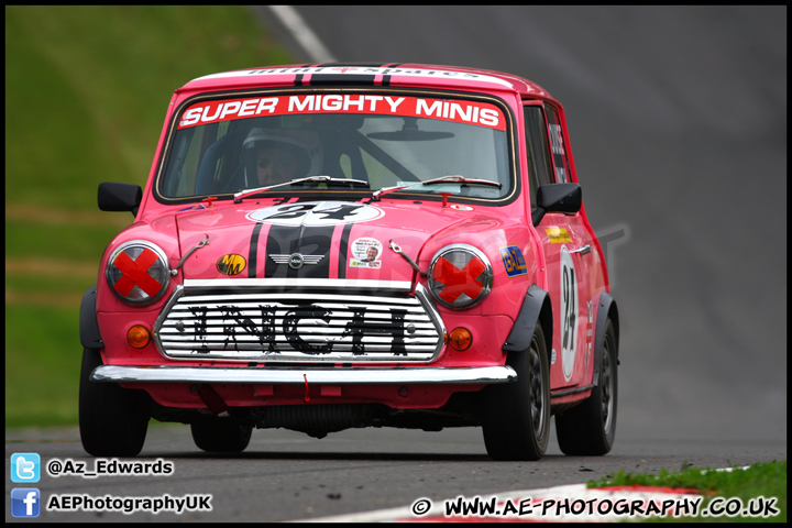 Mini_Festival_Brands_Hatch_230613_AE_178.jpg