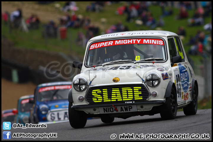 Mini_Festival_Brands_Hatch_230613_AE_181.jpg