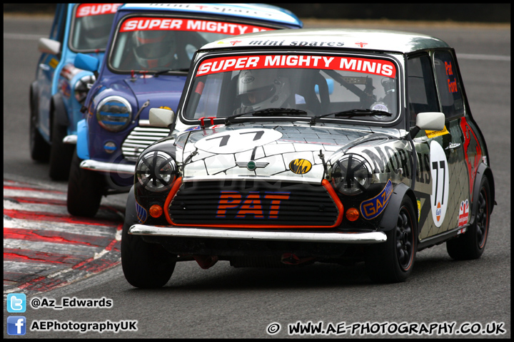 Mini_Festival_Brands_Hatch_230613_AE_185.jpg