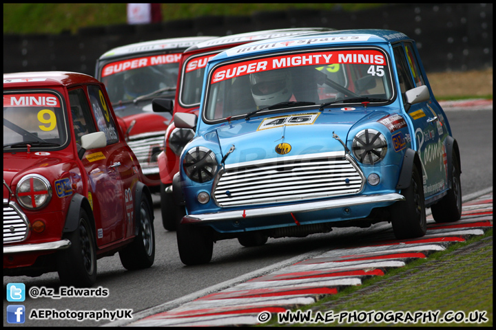 Mini_Festival_Brands_Hatch_230613_AE_186.jpg