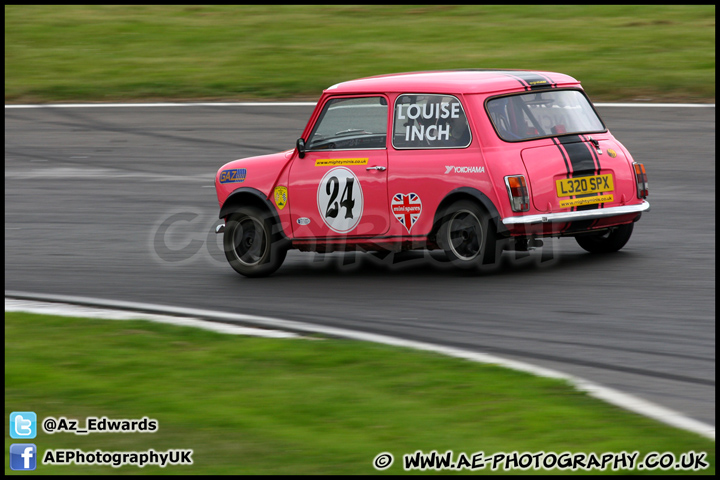 Mini_Festival_Brands_Hatch_230613_AE_188.jpg