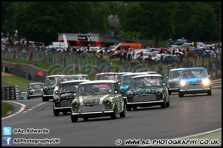 Mini_Festival_Brands_Hatch_230613_AE_201.jpg