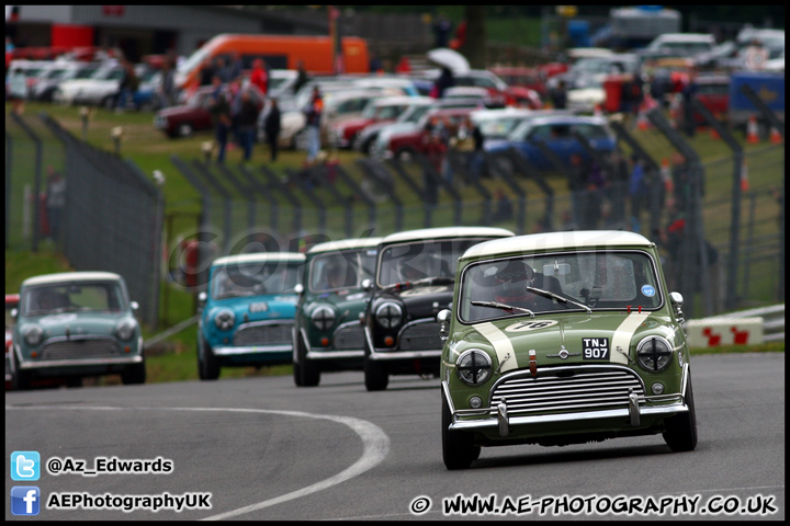 Mini_Festival_Brands_Hatch_230613_AE_202.jpg