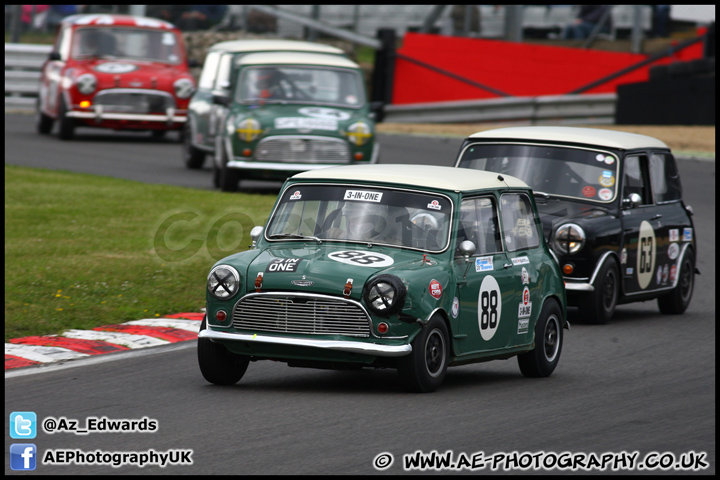 Mini_Festival_Brands_Hatch_230613_AE_211.jpg
