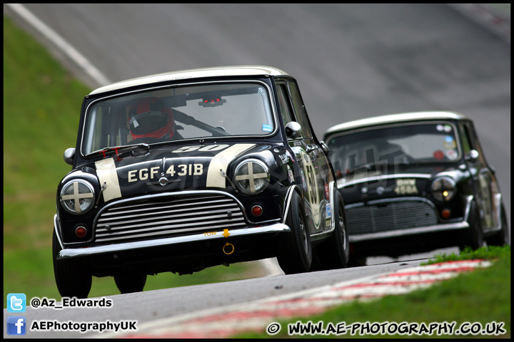 Mini_Festival_Brands_Hatch_230613_AE_221.jpg