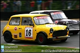 Mini_Festival_Brands_Hatch_230613_AE_128