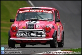 Mini_Festival_Brands_Hatch_230613_AE_178