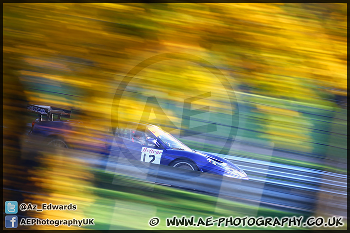 Britcar_Brands_Hatch_231113_AE_045.jpg