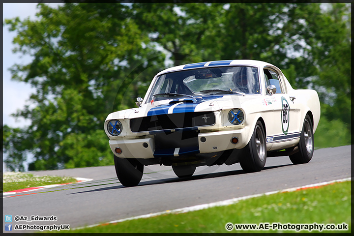 Masters_Brands_Hatch_250514_AE_095.jpg