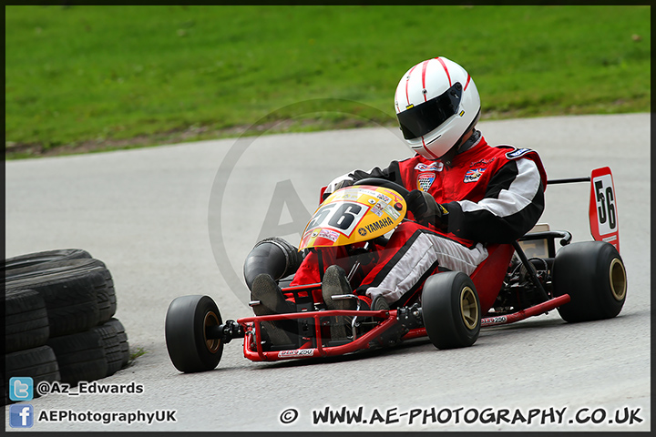 Gold_Cup_Oulton_Park_250813_AE_027.jpg