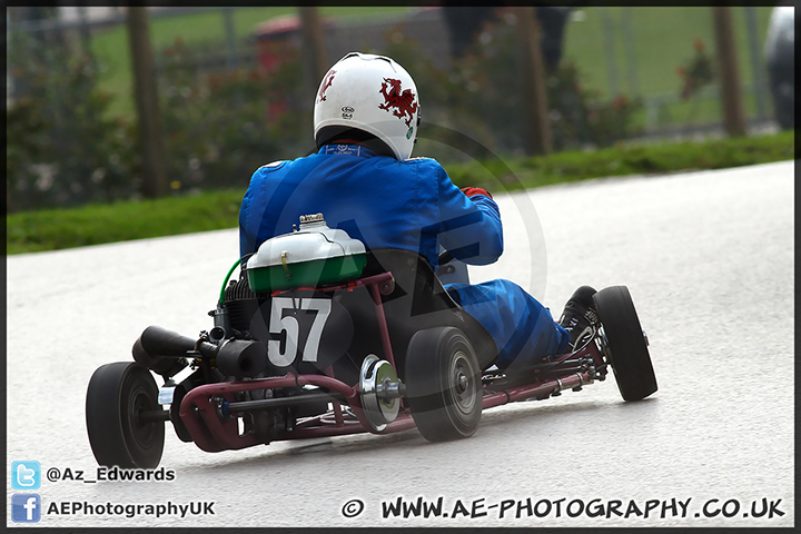 Gold_Cup_Oulton_Park_250813_AE_028.jpg