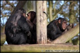 Whipsnade_Zoo_251111_AE_020