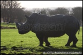 Whipsnade_Zoo_251111_AE_028