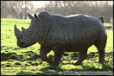 Whipsnade_Zoo_251111_AE_029