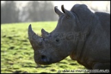 Whipsnade_Zoo_251111_AE_030