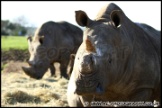 Whipsnade_Zoo_251111_AE_032