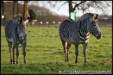 Whipsnade_Zoo_251111_AE_041