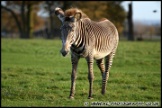 Whipsnade_Zoo_251111_AE_042