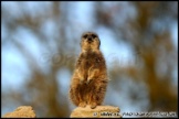 Whipsnade_Zoo_251111_AE_043