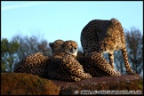 Whipsnade_Zoo_251111_AE_049