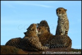 Whipsnade_Zoo_251111_AE_057