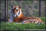Whipsnade_Zoo_251111_AE_061