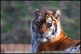 Whipsnade_Zoo_251111_AE_063