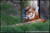 Whipsnade_Zoo_251111_AE_064