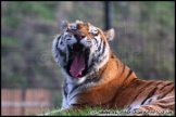 Whipsnade_Zoo_251111_AE_066