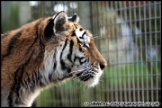 Whipsnade_Zoo_251111_AE_071