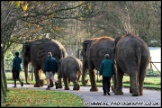 Whipsnade_Zoo_251111_AE_077