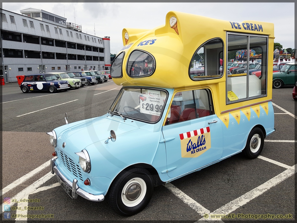 Mini_Festival_Brands_Hatch_26-08-2018_AE_004.jpg