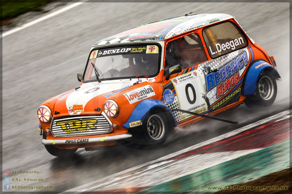 Mini_Festival_Brands_Hatch_26-08-2018_AE_044.jpg