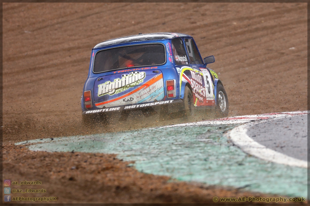 Mini_Festival_Brands_Hatch_26-08-2018_AE_062.jpg