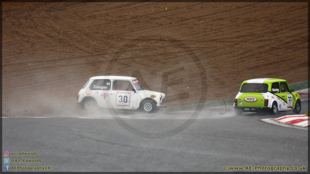 Mini_Festival_Brands_Hatch_26-08-2018_AE_065.jpg