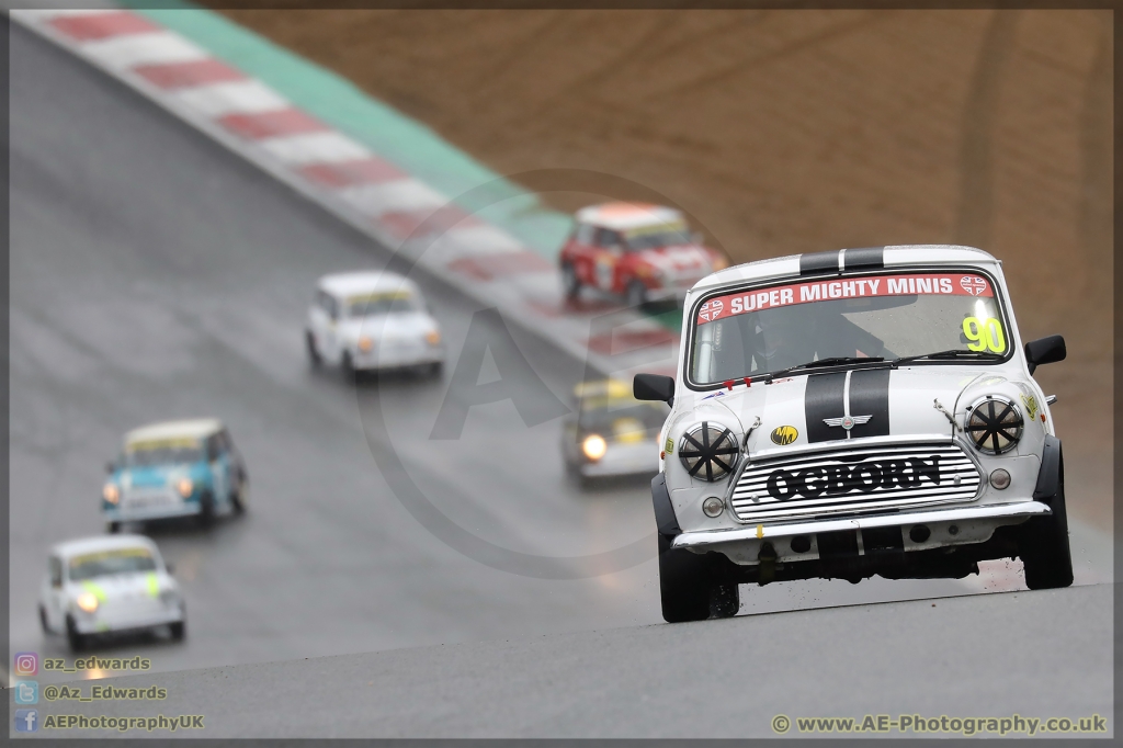 Mini_Festival_Brands_Hatch_26-08-2018_AE_098.jpg