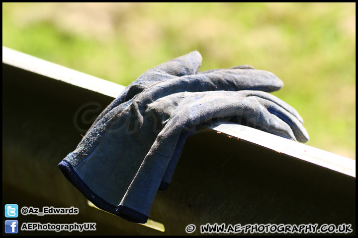 Masters_Historic_Festival_Brands_Hatch_260512_AE_195.jpg