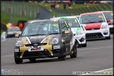 Formula_Ford_Festival_Brands_Hatch_261014_AE_068