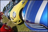 Modified_Live_Brands_Hatch_270610_AE_055